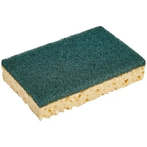Lot de 8 éponges multi-usages - SPONTEX EXPERT - Grattante verte
